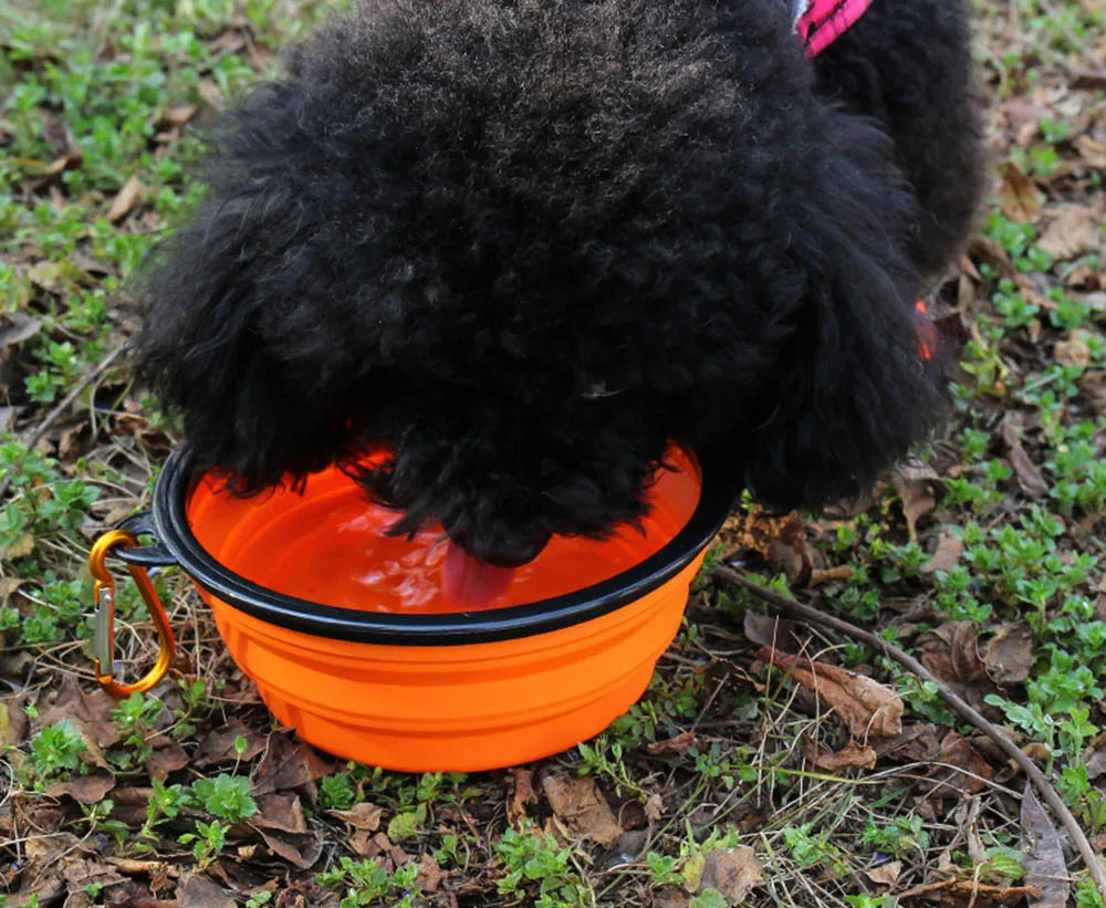 TrekTrough – Collapsible Pet Travel Bowl with Carabiner