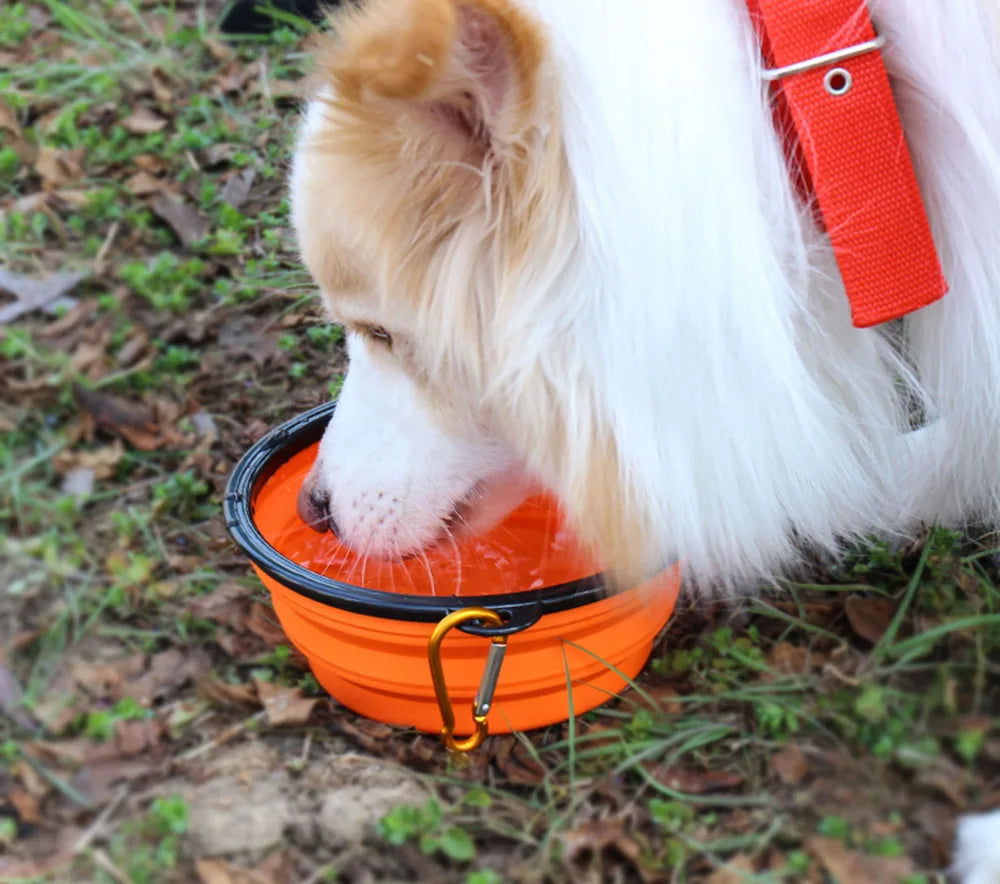 TrekTrough – Collapsible Pet Travel Bowl with Carabiner