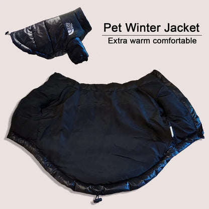 **FrostGuard – Winddichte Winterjacke für kleine bis mittelgroße Hunde** 