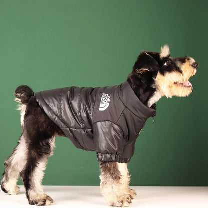 **FrostGuard – Winddichte Winterjacke für kleine bis mittelgroße Hunde** 