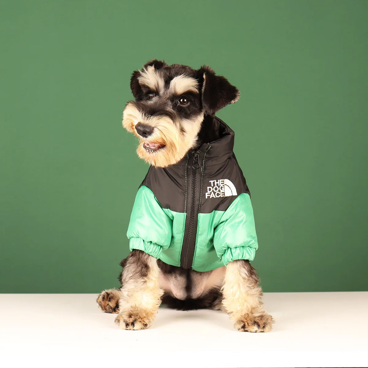 **FrostGuard – Winddichte Winterjacke für kleine bis mittelgroße Hunde** 