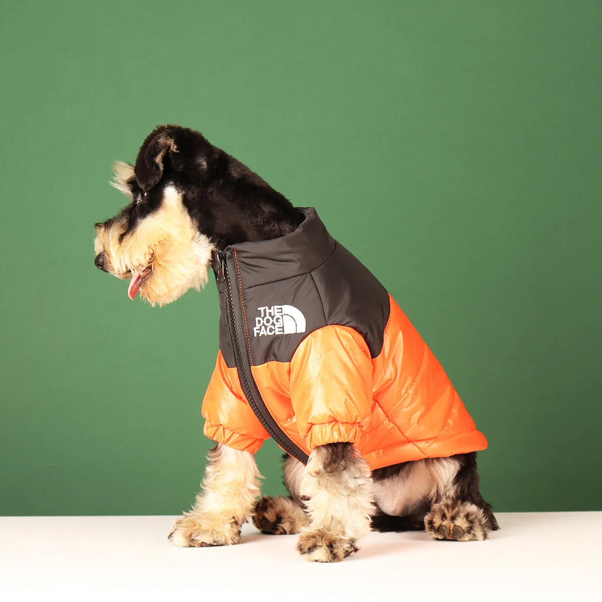 **FrostGuard – Winddichte Winterjacke für kleine bis mittelgroße Hunde** 