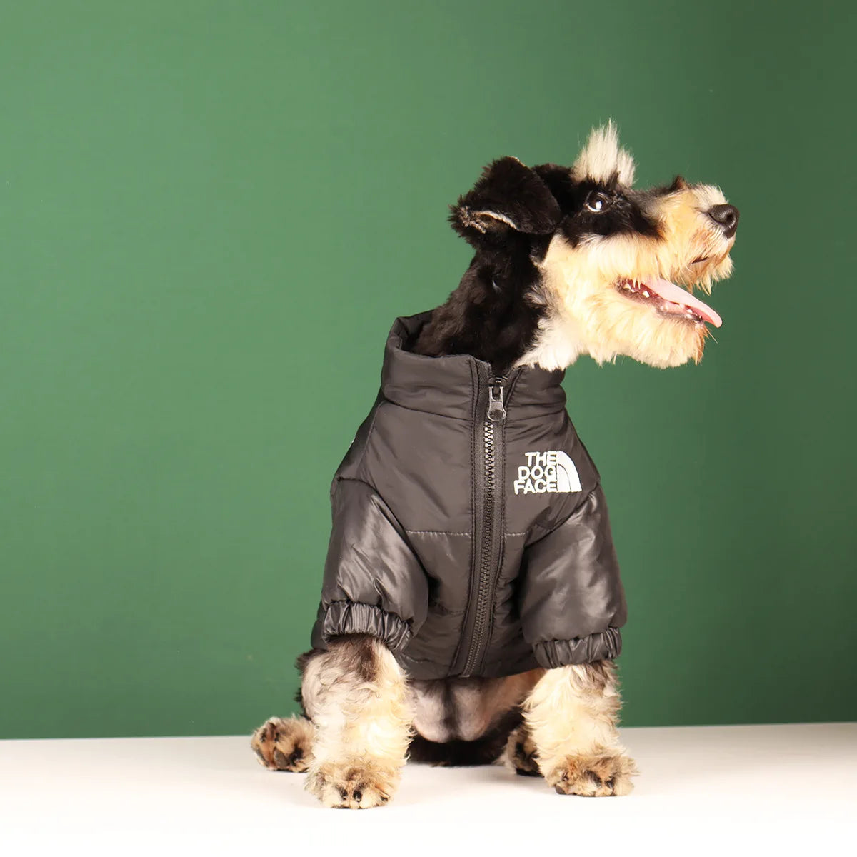 **FrostGuard – Winddichte Winterjacke für kleine bis mittelgroße Hunde** 