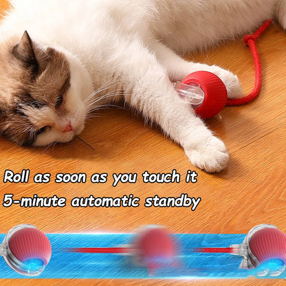 PawsPlay – Interaktiver Rollball mit künstlichem Schwanz für Katzen und Hunde 