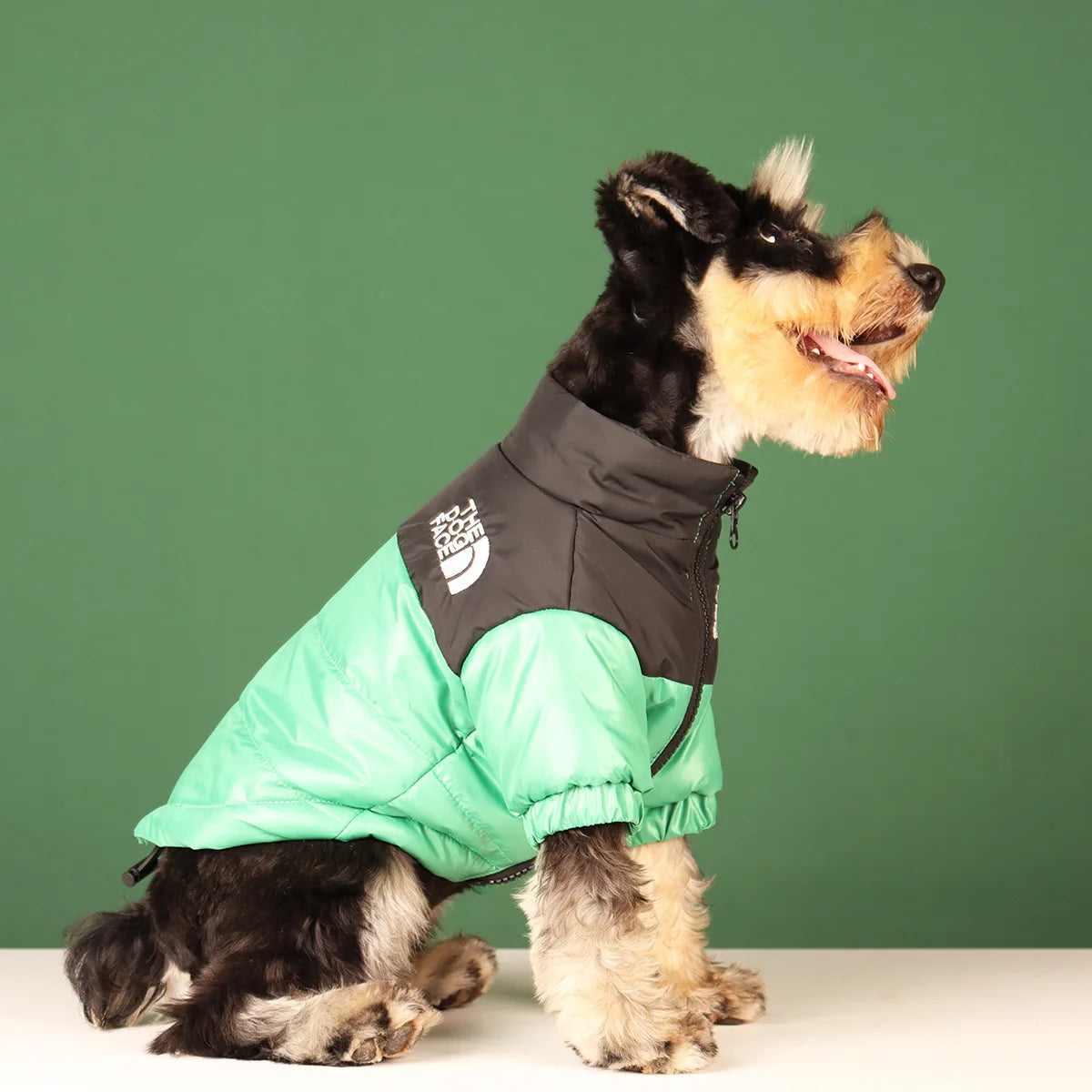 **FrostGuard – Winddichte Winterjacke für kleine bis mittelgroße Hunde** 