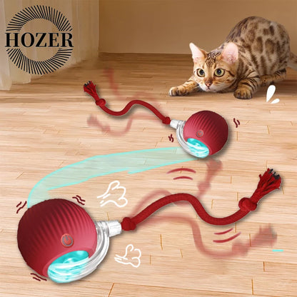 PawsPlay – Interaktiver Rollball mit künstlichem Schwanz für Katzen und Hunde 