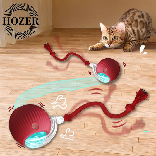 PawsPlay – Interactive Rolling Ball with Faux Tail for Cats & Dogs