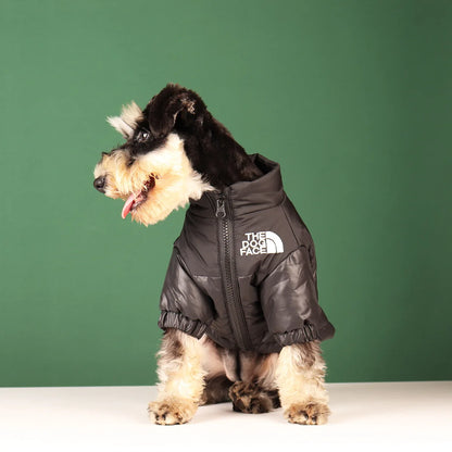 **FrostGuard – Winddichte Winterjacke für kleine bis mittelgroße Hunde** 