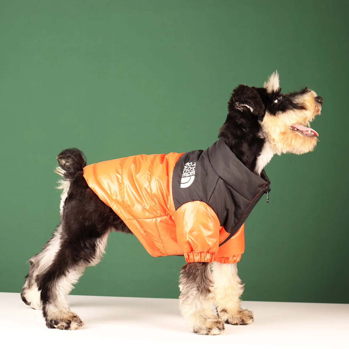 **FrostGuard – Winddichte Winterjacke für kleine bis mittelgroße Hunde** 