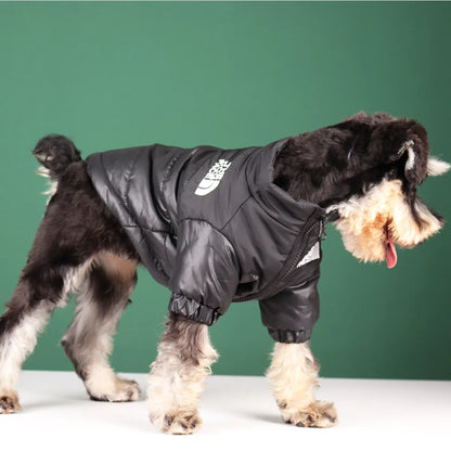 **FrostGuard – Winddichte Winterjacke für kleine bis mittelgroße Hunde** 