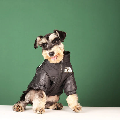 **FrostGuard – Winddichte Winterjacke für kleine bis mittelgroße Hunde** 