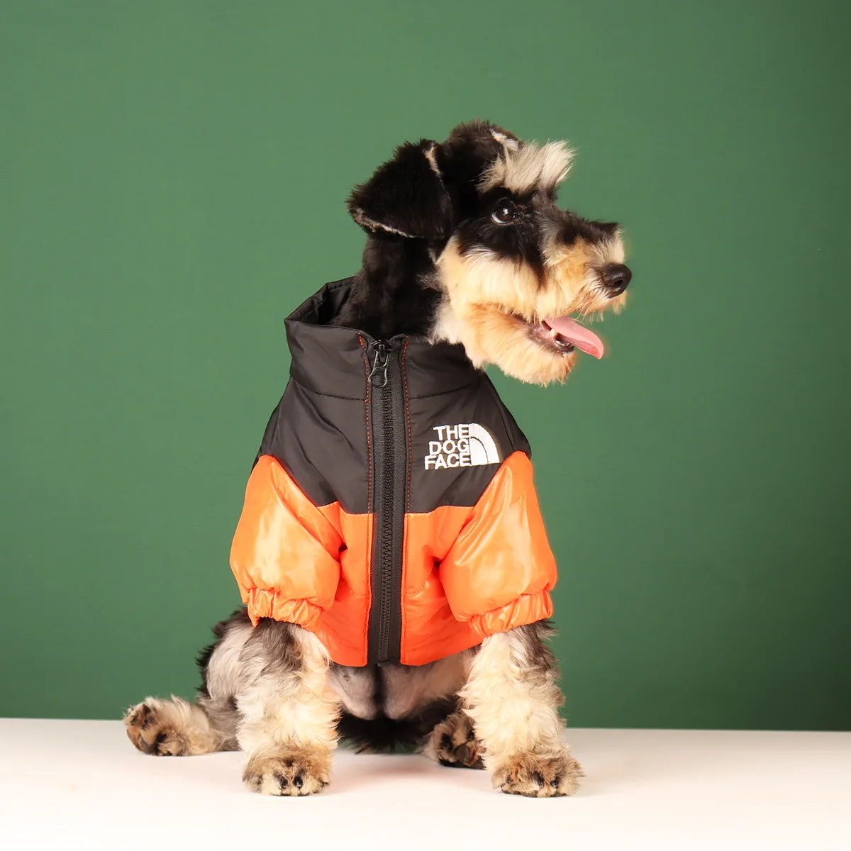 **FrostGuard – Winddichte Winterjacke für kleine bis mittelgroße Hunde** 