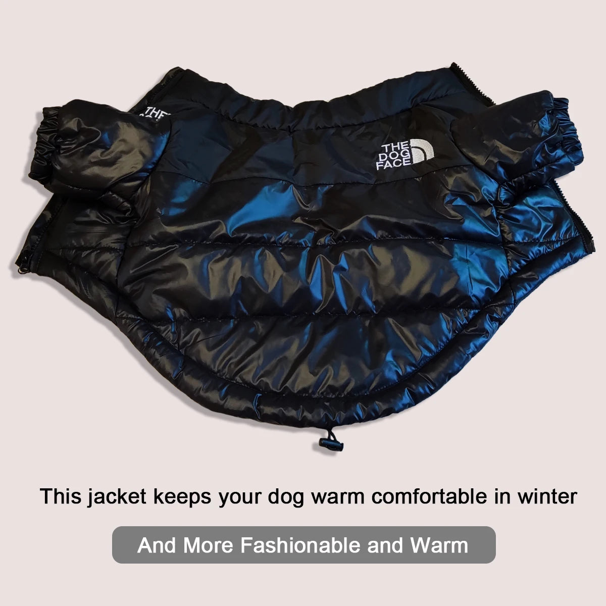 **FrostGuard – Winddichte Winterjacke für kleine bis mittelgroße Hunde** 