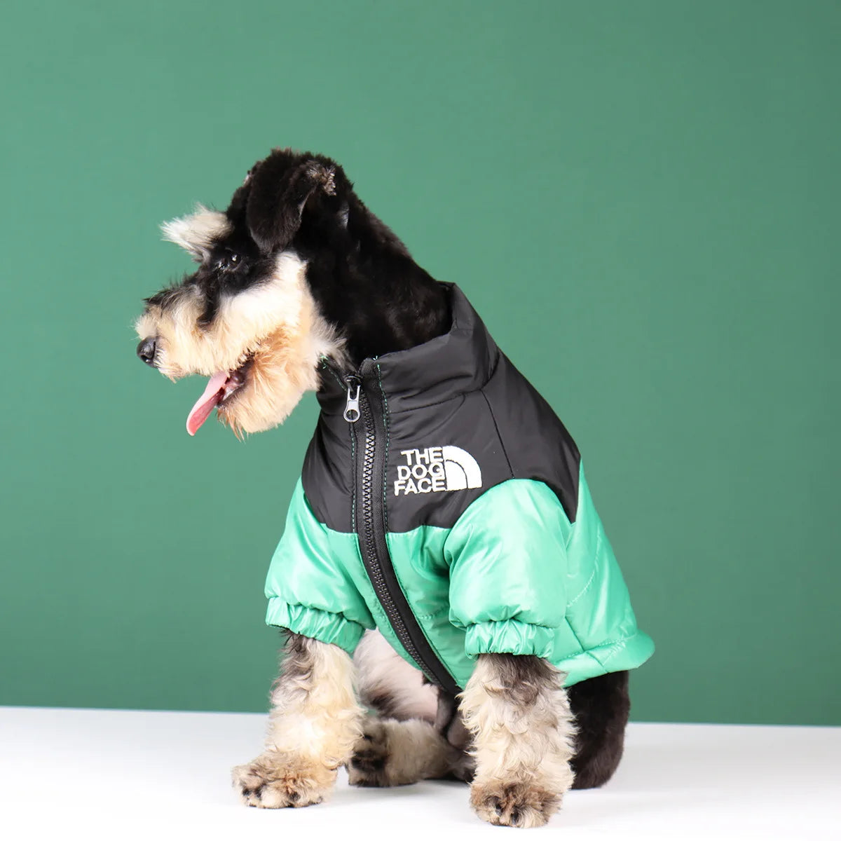 **FrostGuard – Winddichte Winterjacke für kleine bis mittelgroße Hunde** 