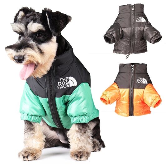 **FrostGuard – Winter Windproof Jacket for Small to Medium Dogs**